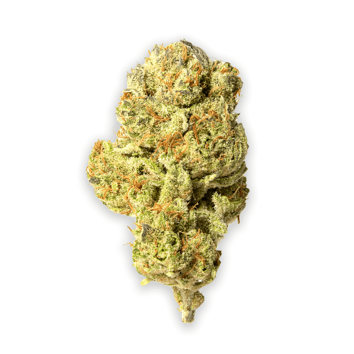 Blue Sunset Sherbet