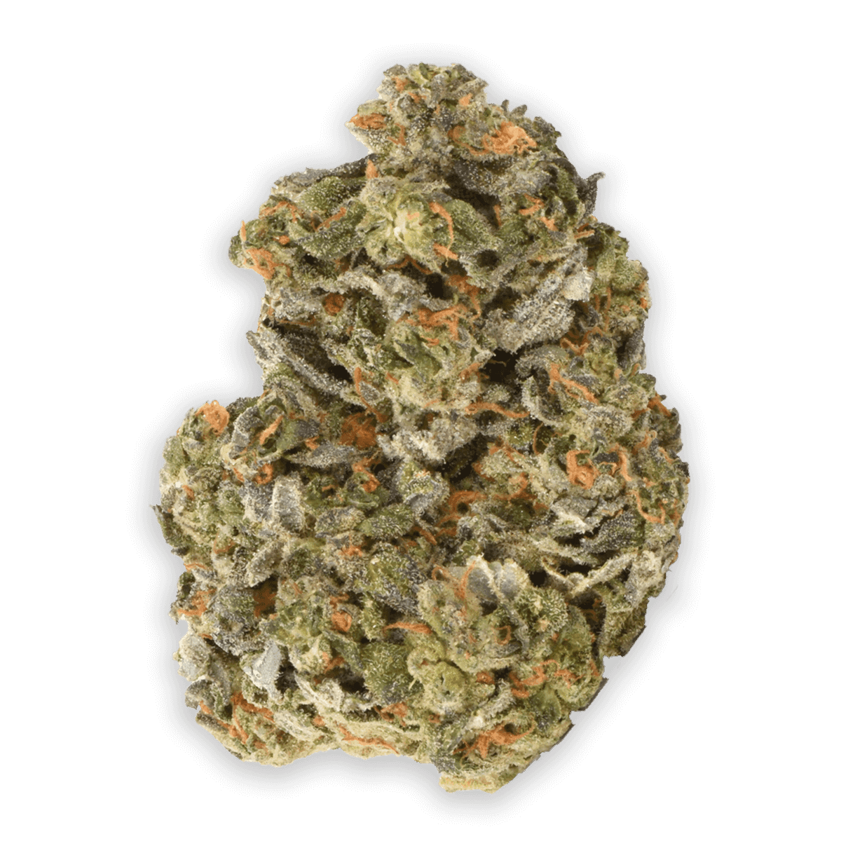 Citrus Rush