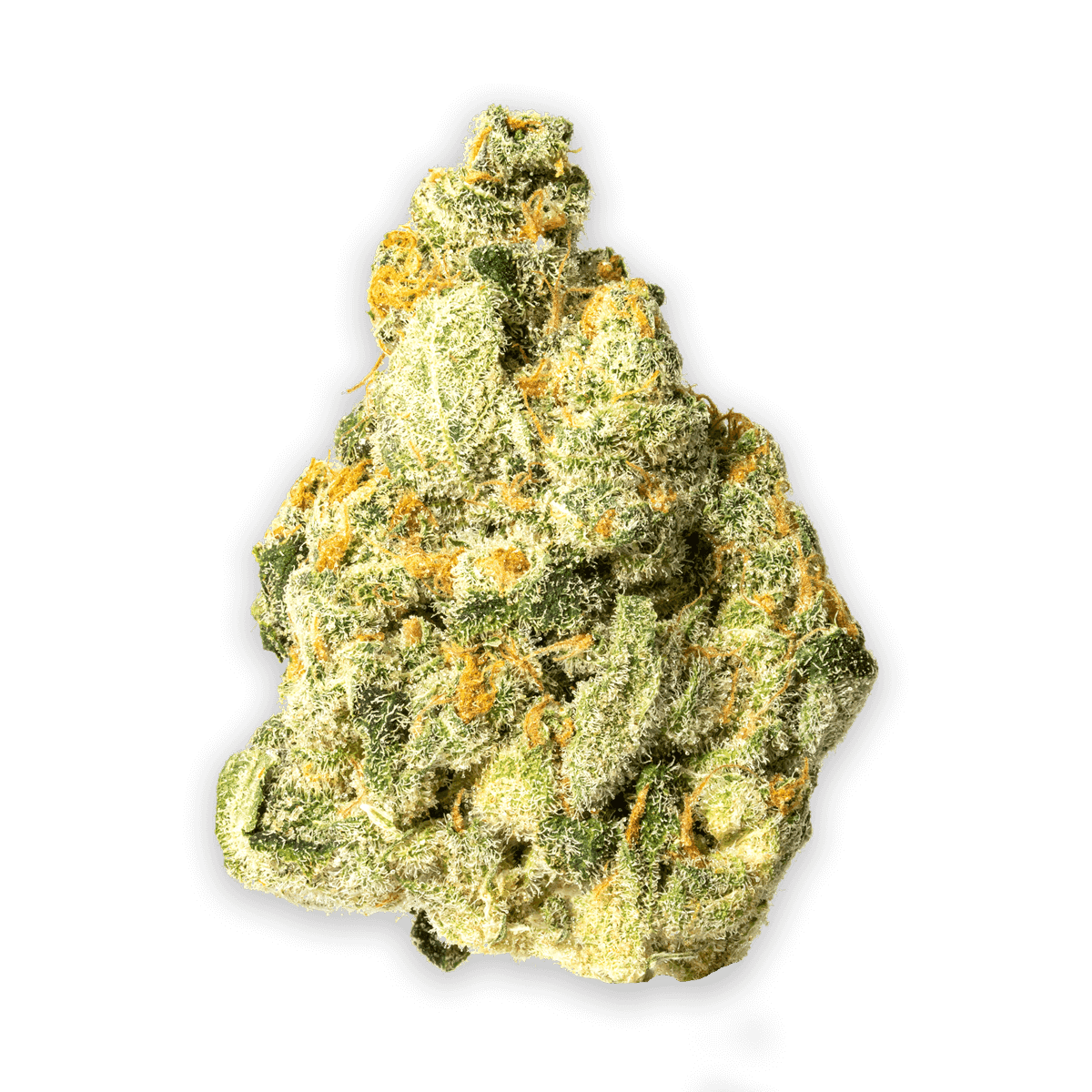 Citrus Tsunami