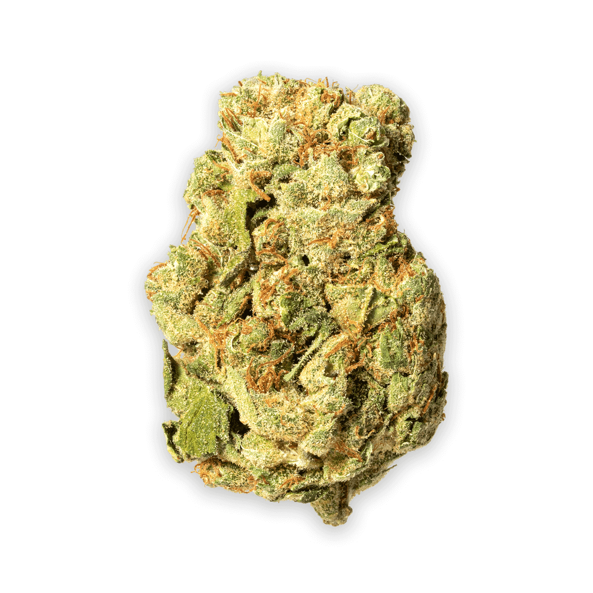 DurbanMaker