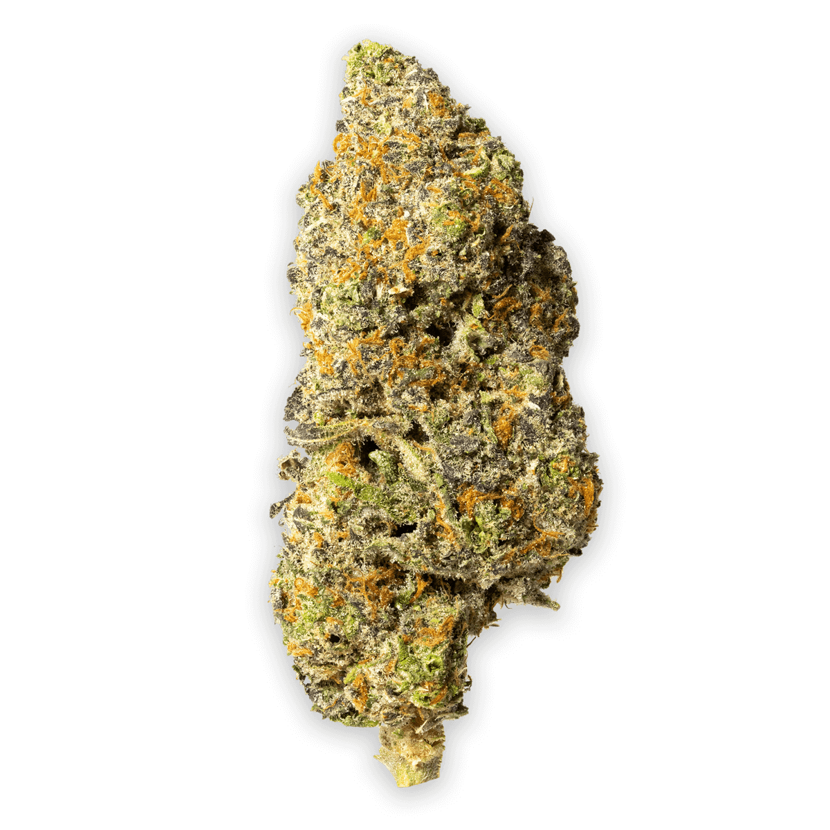 Mendoreoz