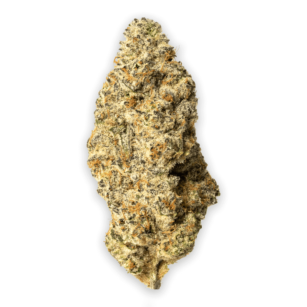 Sinmint Kush