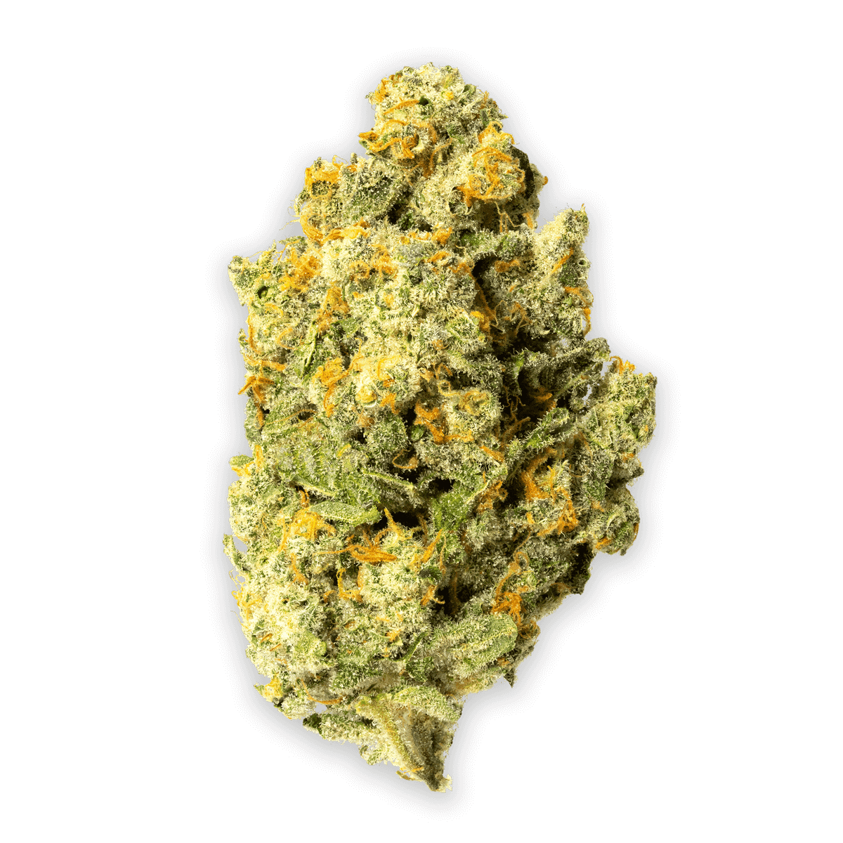 Tropicana Skittlez