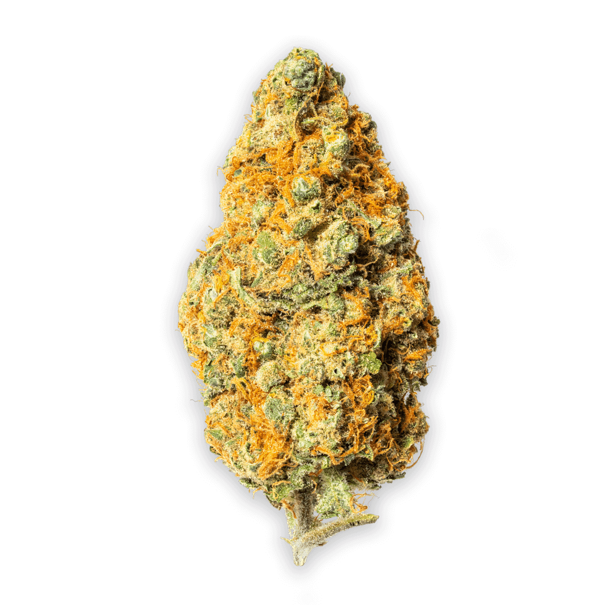 White Critical