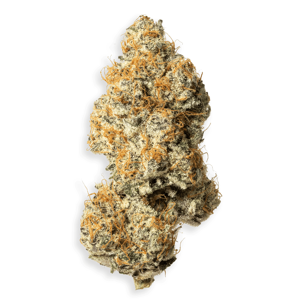 FlapJacks #2