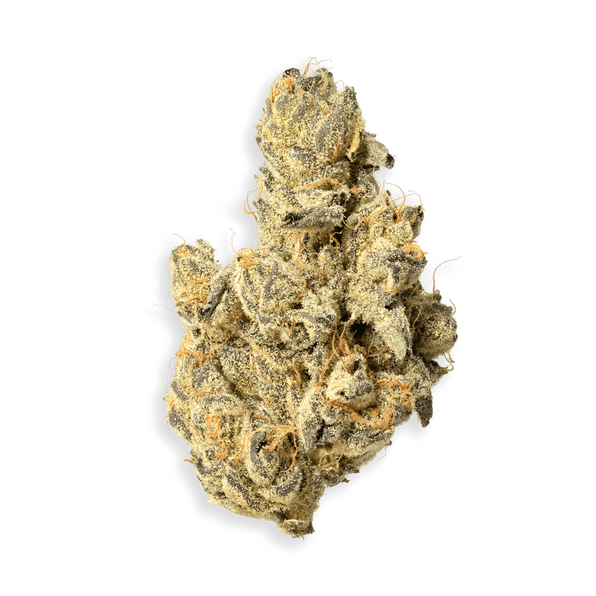 The Don Mega GMO #8