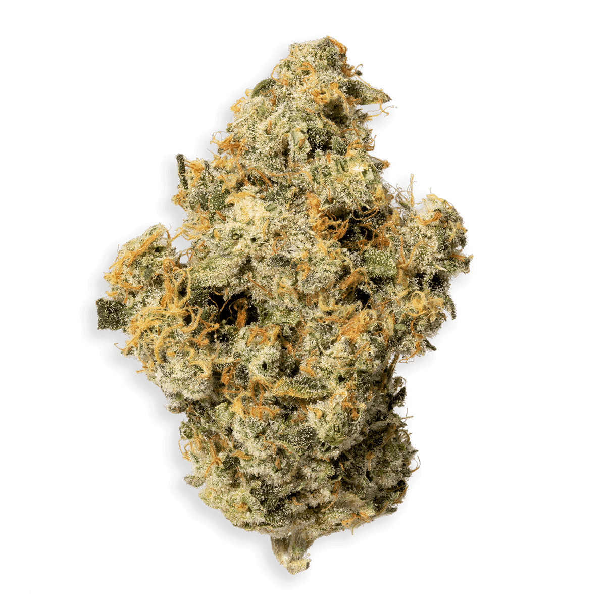 Lemon OG Haze