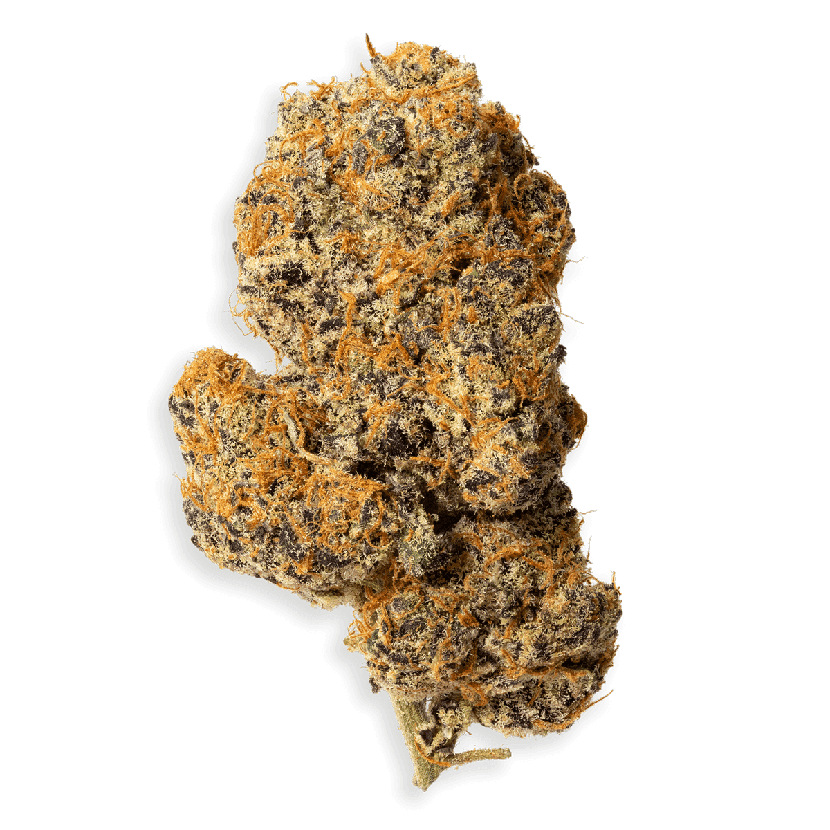 Peanut Butter Breath #7