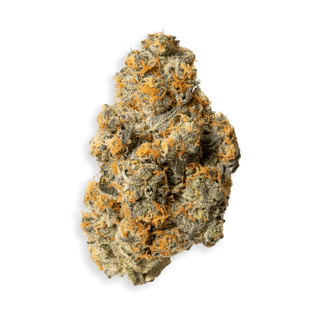 GMO de Cookies