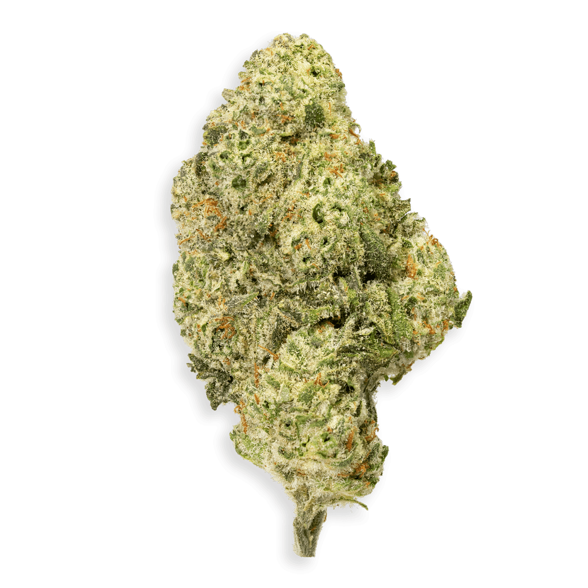 Mango Ice