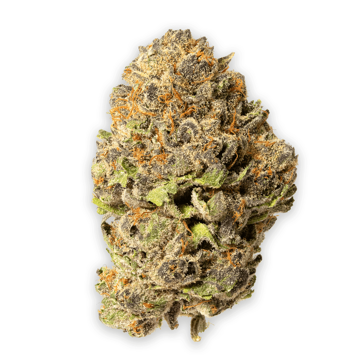 Purple Biscotti