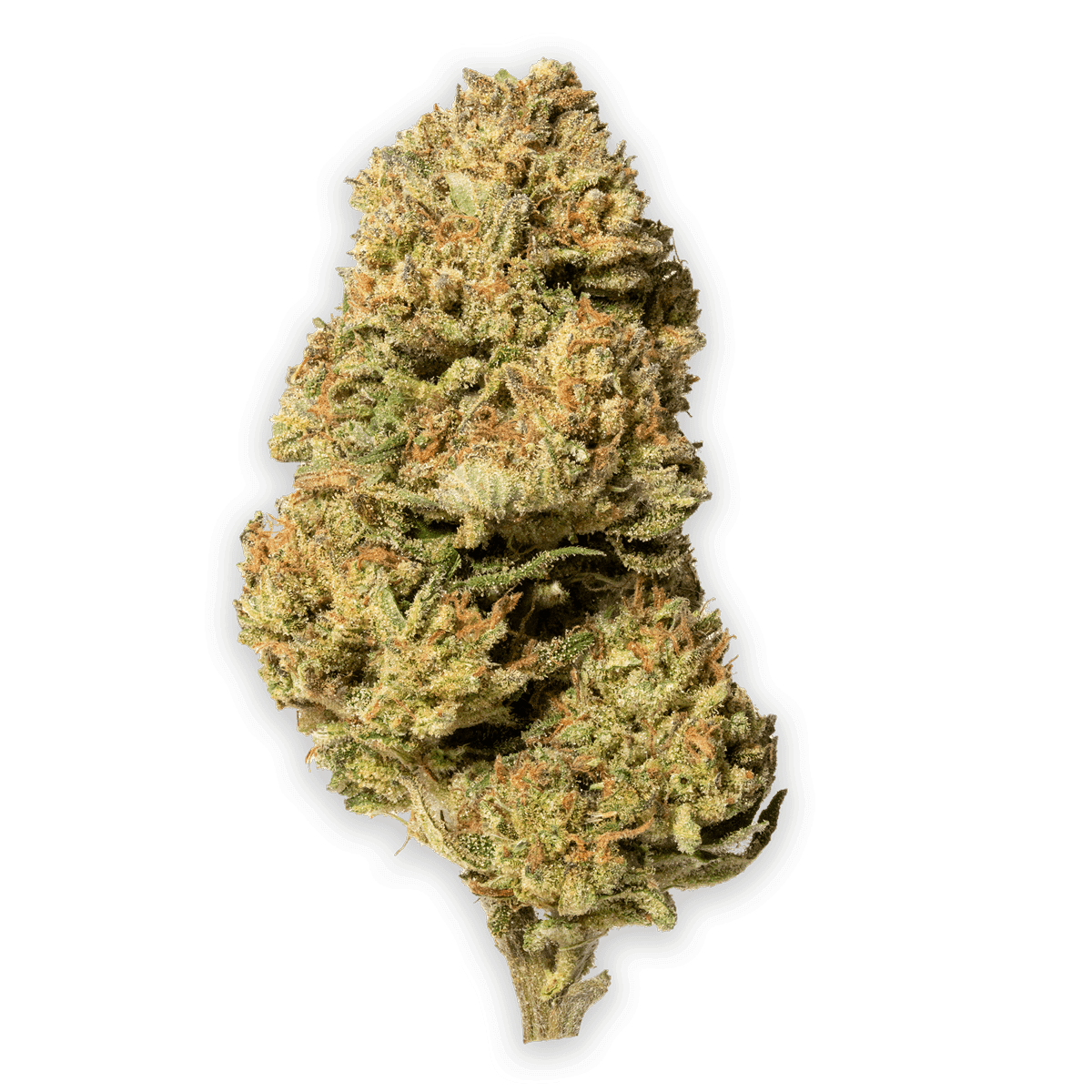 Garlic Cookies