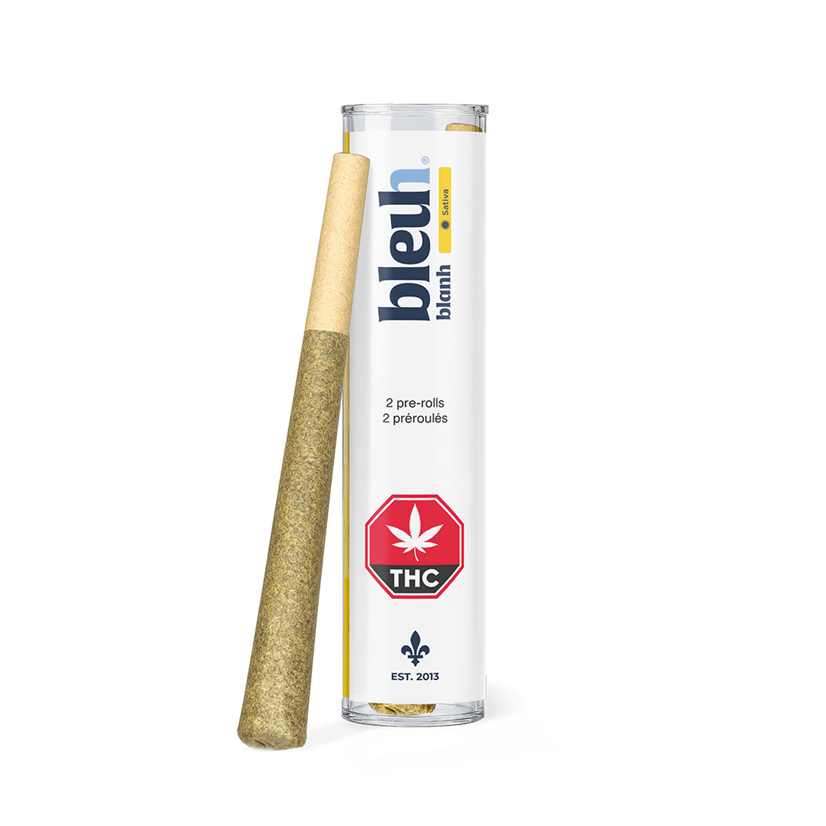 Blanh Sativa